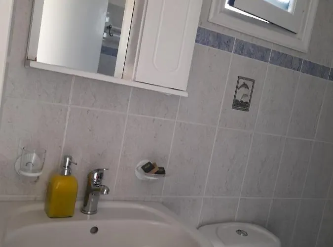 公寓 伽拉诺斯一室公寓 *