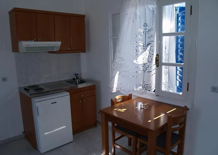 公寓 伽拉诺斯一室公寓 *