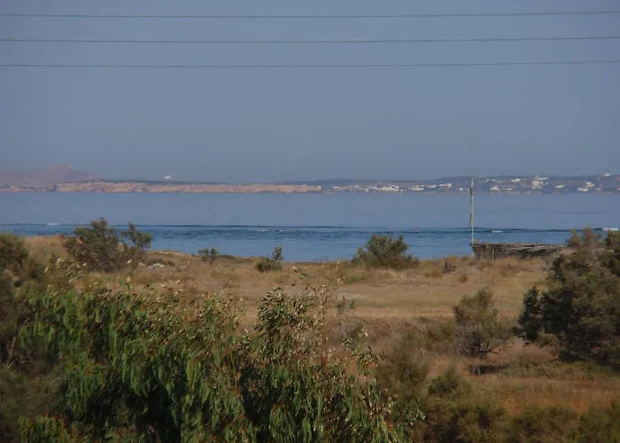 公寓 伽拉诺斯一室公寓 *