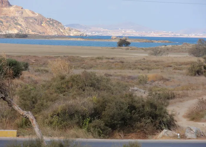 伽拉诺斯一室公寓 Naxos City